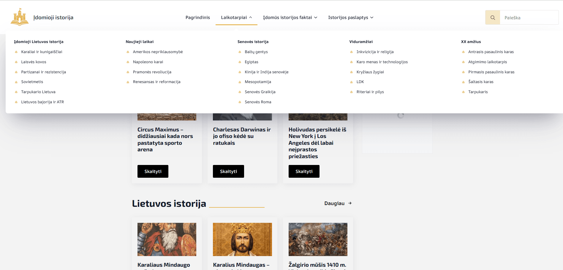 Įdomioji istorija projekto vaizdas